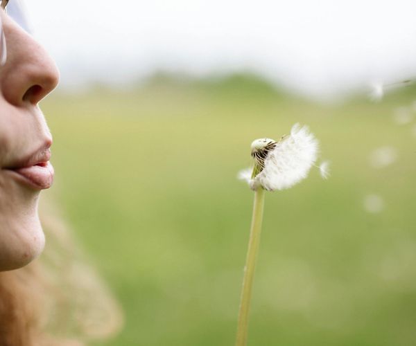 Close-up of a dandelion with seeds blowing in the wind symbolizing breath.